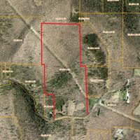 77 acres Hunting Land with Fields and Woods in Candor NY Reservoir Hill Rd images 4