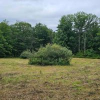 77 acres Hunting Land with Fields and Woods in Candor NY Reservoir Hill Rd images 5