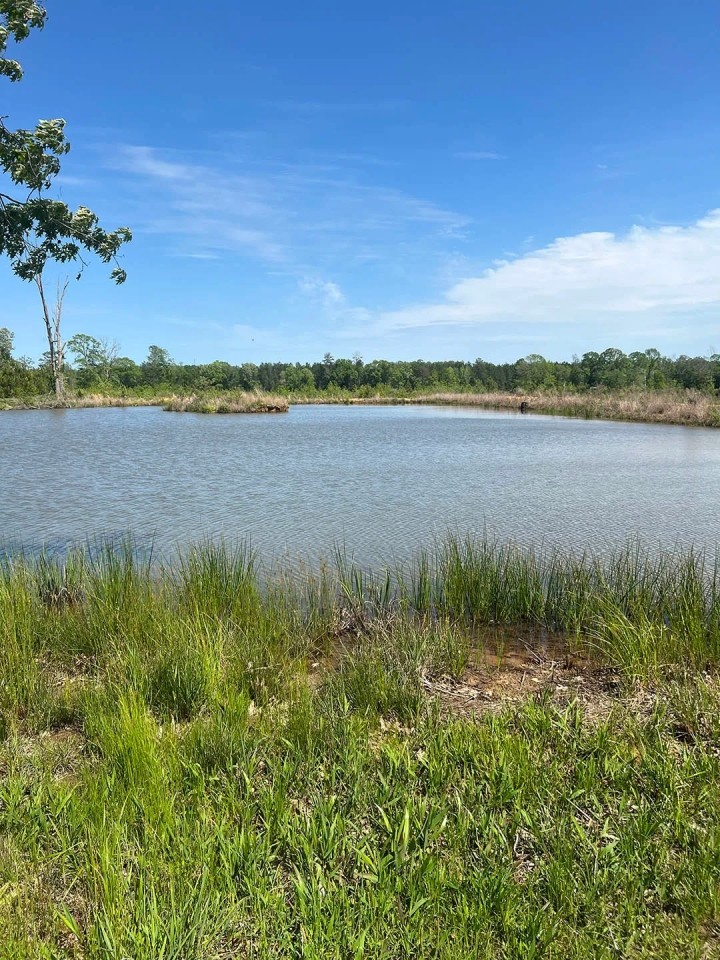 60.75 Acres in Amite County MS featured image