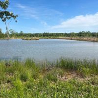 60.75 Acres in Amite County MS