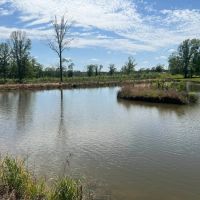 60.75 Acres in Amite County MS images 2