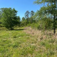 60.75 Acres in Amite County MS images 3