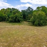 Scenic 87 acres with rolling hills part-wooded pond images 4
