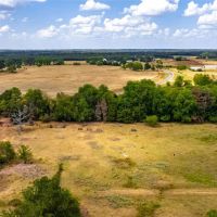 Scenic 87 acres with rolling hills part-wooded pond images 5
