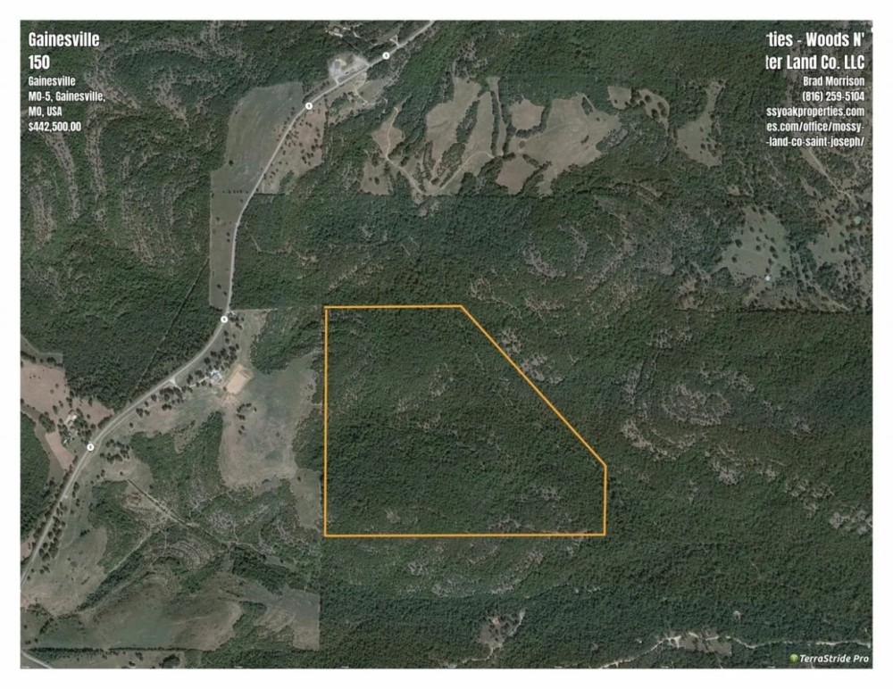 Affordable Ozark County Hunting Acreage featured image