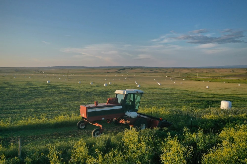 Buckmiller Ranch featured image