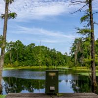 Old Hall Plantation - Beautiful Riverfront Property images 3