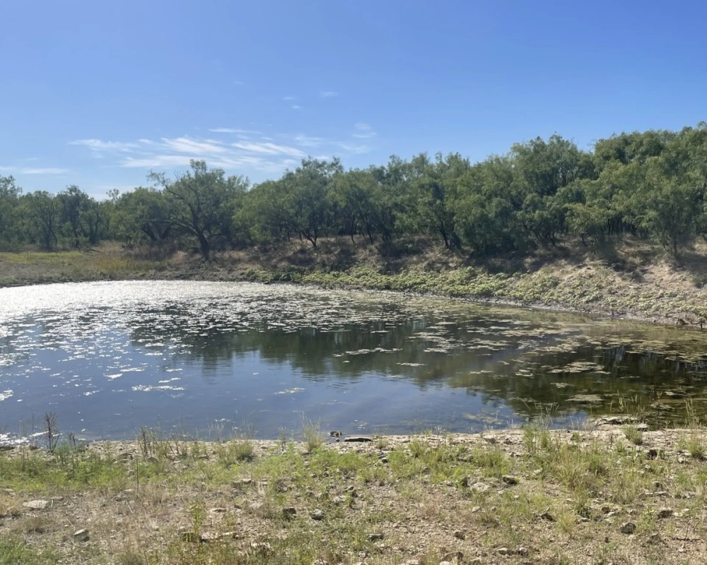 New Listing 16 - Acres Callahan County featured image
