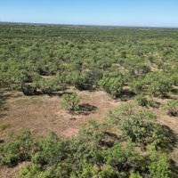 New Listing 16 - Acres Callahan County images 4