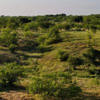 Strawberry Rhone Ranch images 3