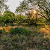 Strawberry Rhone Ranch images 4
