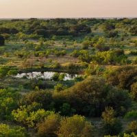 Strawberry Rhone Ranch images 5