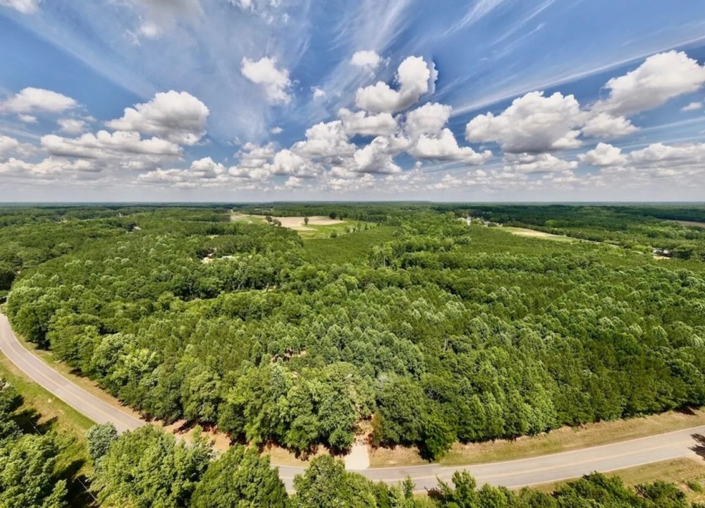 ONLINE AUCTION - 20 acres Multi Use Land for Sale in Nash County NC featured image