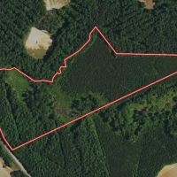 ONLINE AUCTION - 20 acres Multi Use Land for Sale in Nash County NC images 2
