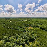 ONLINE AUCTION - 20 acres Multi Use Land for Sale in Nash County NC images 5