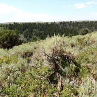 Bear River Divide HMA, 225,451 acres Deer hunting land in Lincoln, WY