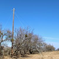 71 - ACRES IN BRADY images 2