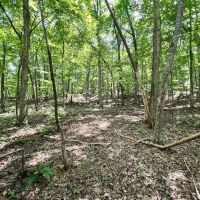 6.61 acres of Residential or Recreational Land in Bedford County VA images 2