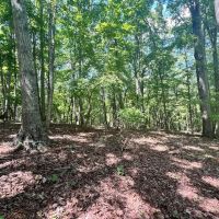 6.61 acres of Residential or Recreational Land in Bedford County VA images 3