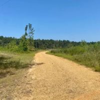 40 acres Robert Jones Road Ready to Divide