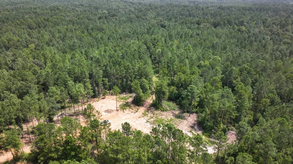Webster County - 42 Acres - Green Door Road featured image