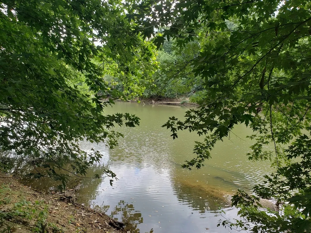 KIAMICHI RIVER FRONTAGE Hunting Land for Sale