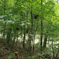 KIAMICHI RIVER FRONTAGE images 5