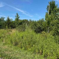 4.3 acres Hunting Land and Recreational Land in Friendship NY White Creek Rd Lot 5 images 5