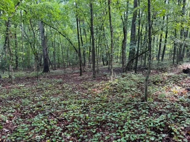 - 4.04 Acres on Norris Drive in Belton SC featured image