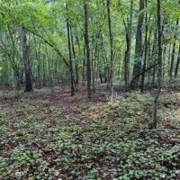 - 4.04 Acres on Norris Drive in Belton SC