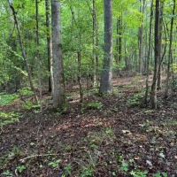 - 4.04 Acres on Norris Drive in Belton SC images 2