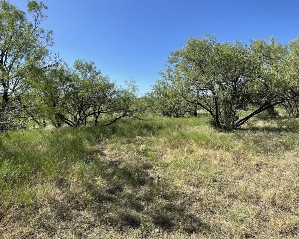New Listing 15 - Acres Callahan County featured image