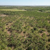 New Listing 15 - Acres Callahan County images 3