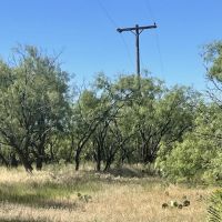 New Listing 15 - Acres Callahan County images 5
