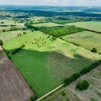 Frogville 80 Acre Bermuda Pasture images 2
