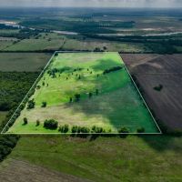 Frogville 80 Acre Bermuda Pasture images 5