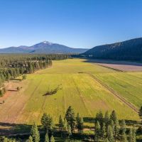 Black Ranch