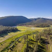 Black Ranch images 3