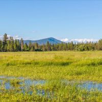 Black Ranch images 5