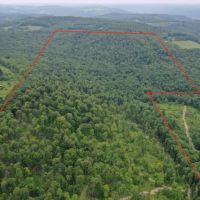 160 acres Hunting Land and Recreational Land with Creek and Views in Cuba NY CR-20 images 2