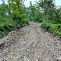 160 acres Hunting Land and Recreational Land with Creek and Views in Cuba NY CR-20 images 5