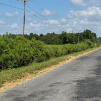 LA - West Carroll 64 acres -