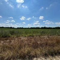 LA - West Carroll 64 acres - images 3