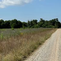 LA - West Carroll 64 acres - images 4