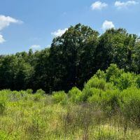 LA - West Carroll 64 acres - images 5