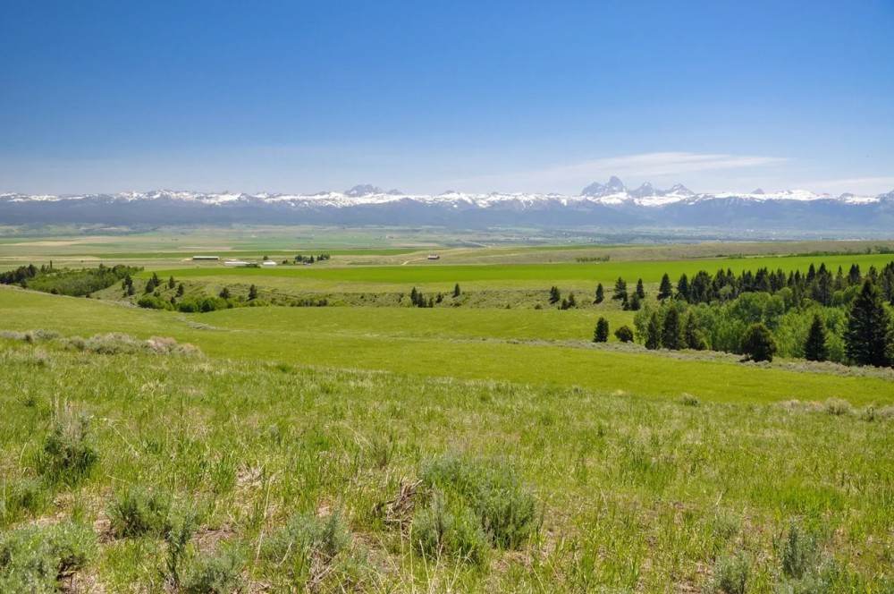 Hoopes Teton View Ranch featured image