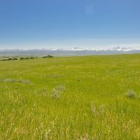 Hoopes Teton View Ranch images 3