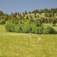 Hoopes Teton View Ranch images 5