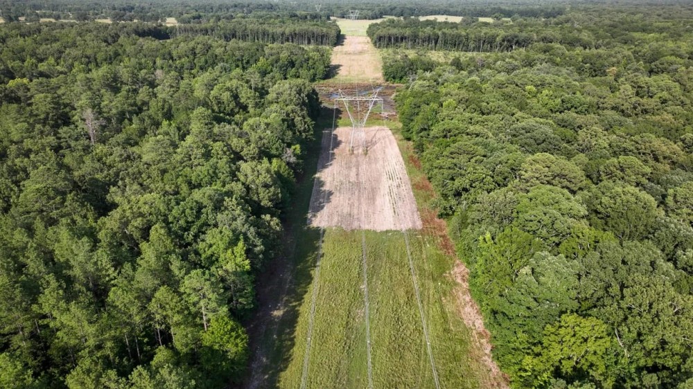 Clay County - 77.5 Acres - Mhoon Valley Honey Hole featured image
