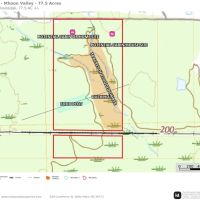 Clay County - 77.5 Acres - Mhoon Valley Honey Hole images 3
